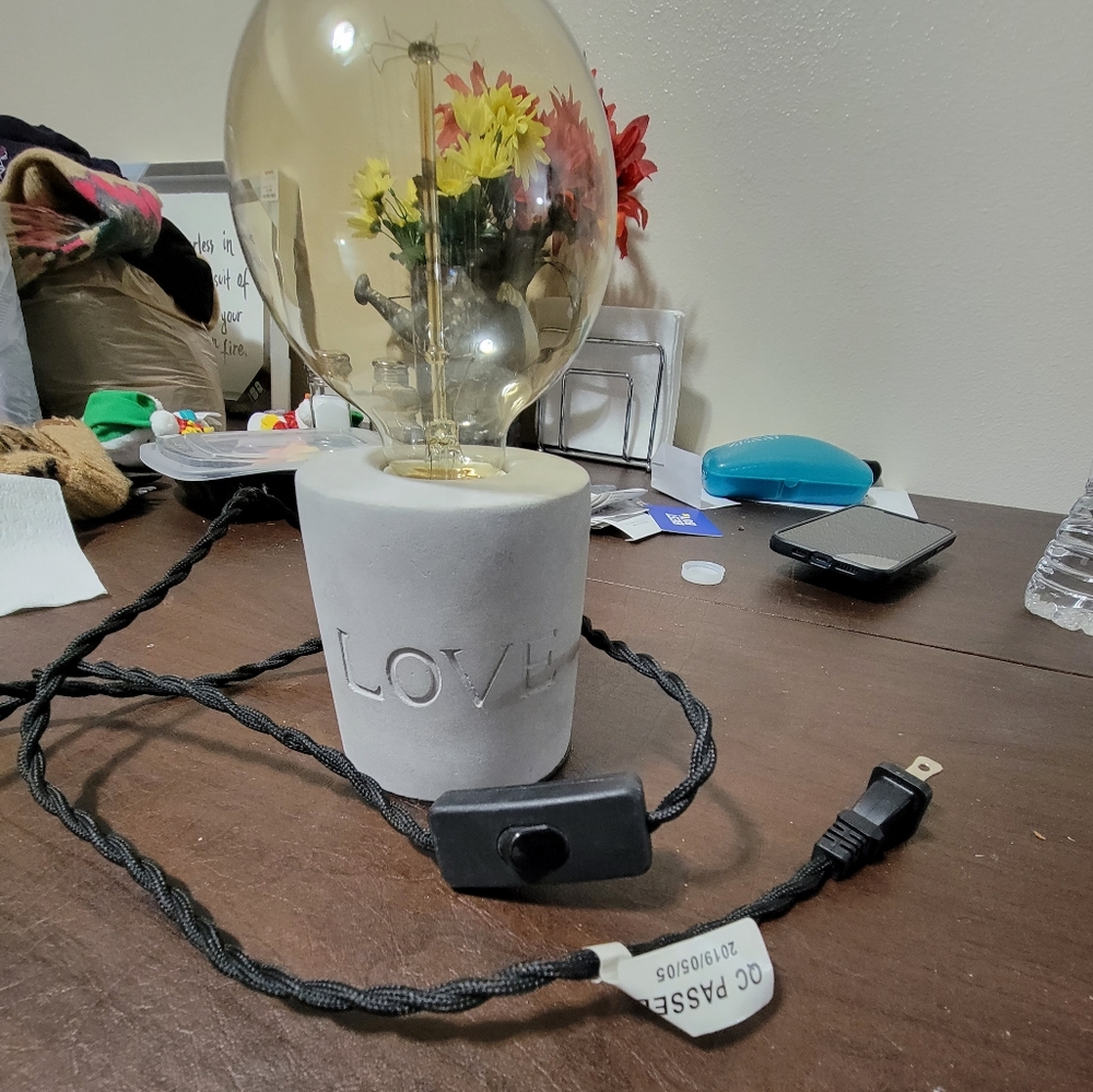 Light Bulb lamb says love plugs in